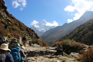 Group Hiking Beside Local