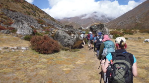 Group Hiking Though Valley