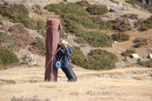 Porter carrying carpet up the mountains