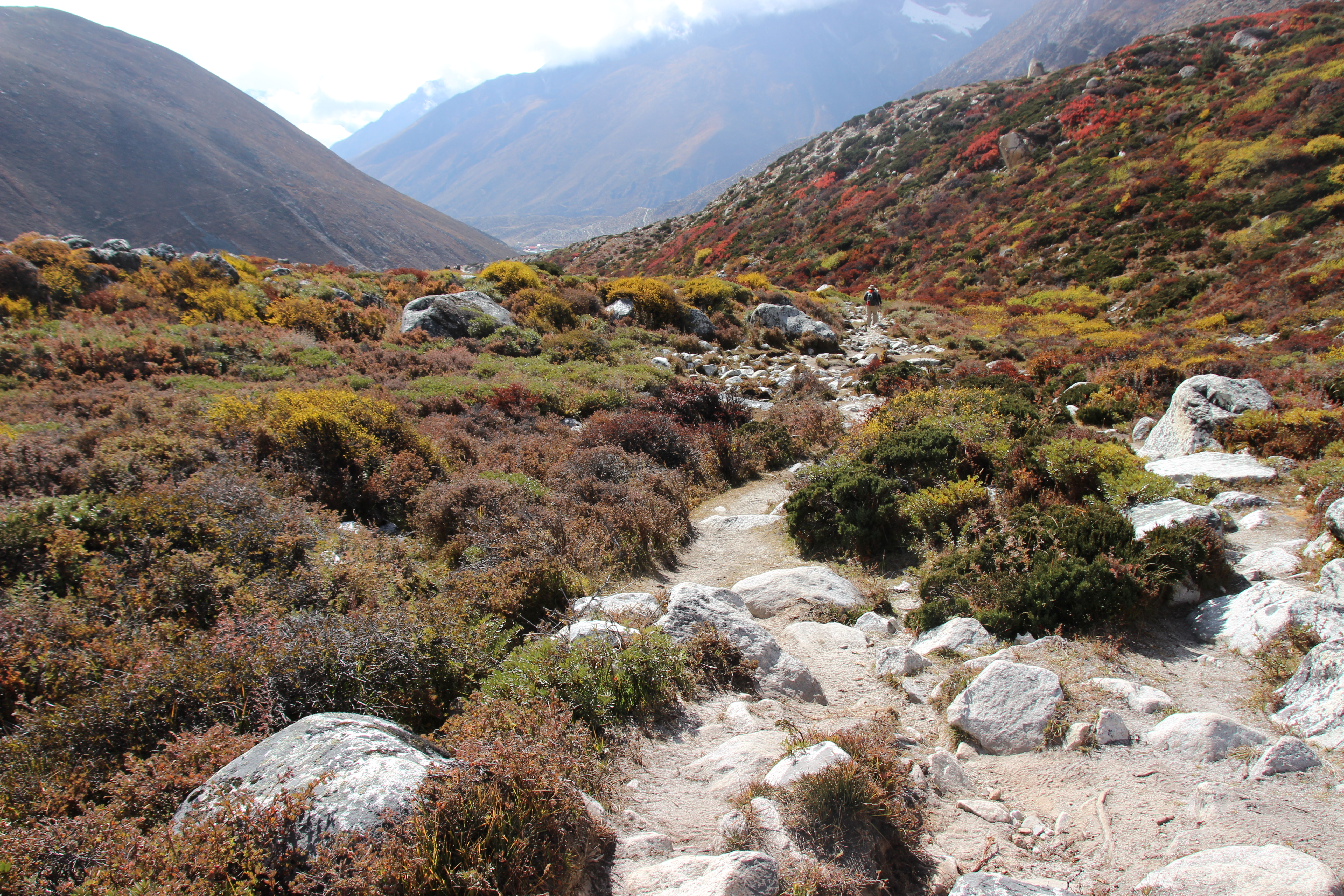 Trail to Chhukung Valley