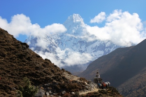 Trail with Stupa - Mountain Background