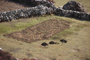 Yak Patty Drying