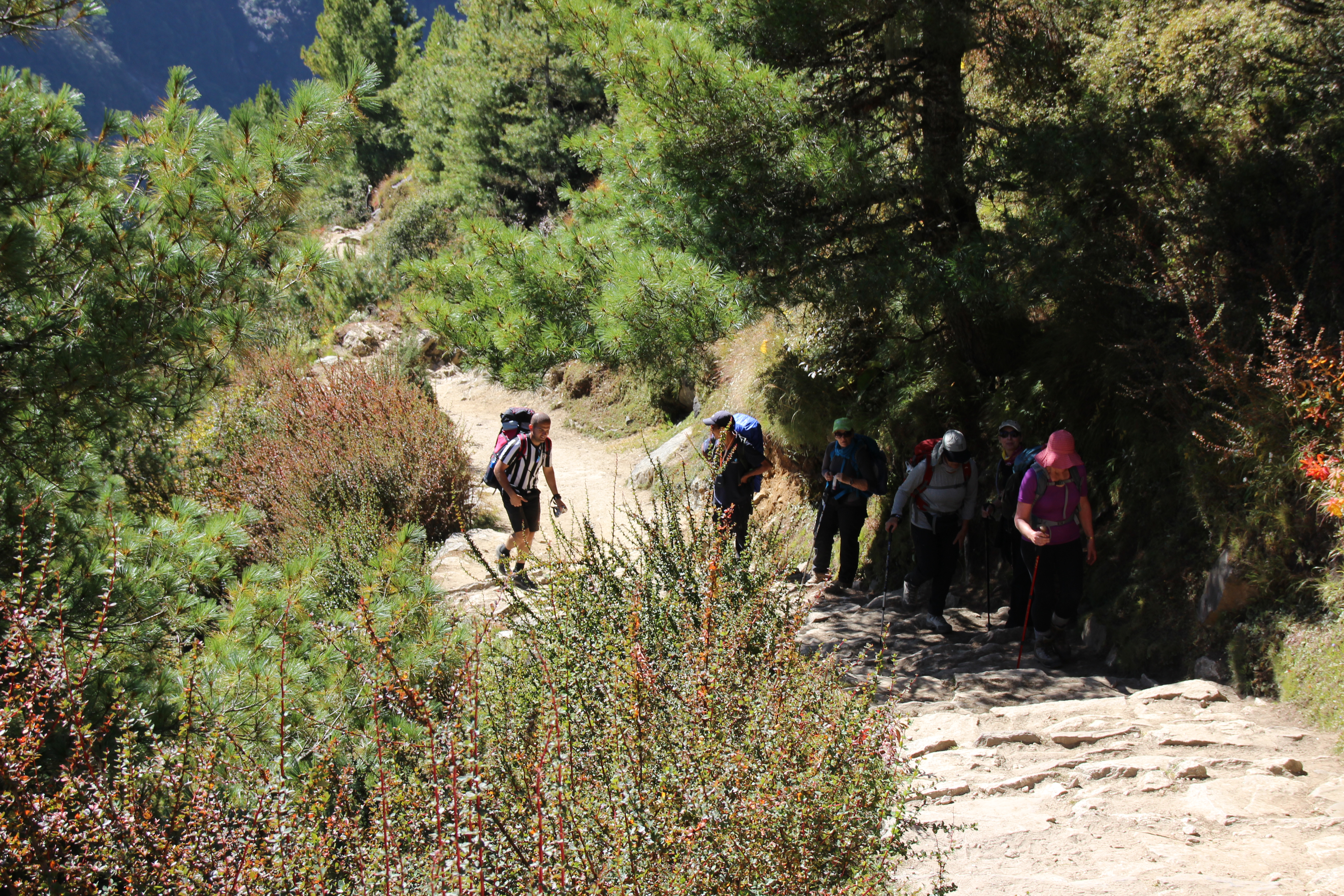 Group Trekking Up a Hill